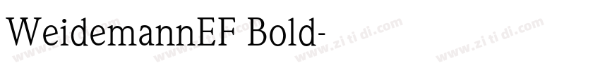 WeidemannEF Bold字体转换